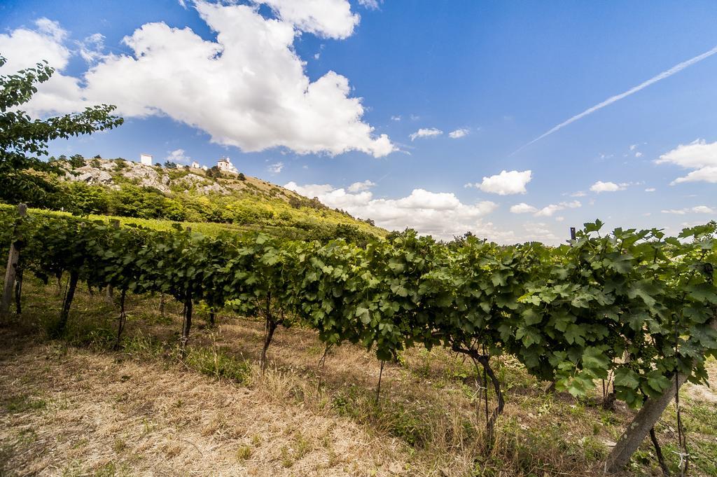 Boutique Hotel Golf Garni Mikulov Exterior photo